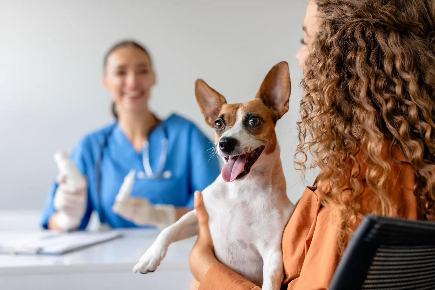 Smiling veterinarian greeting a happy terrier and its owner