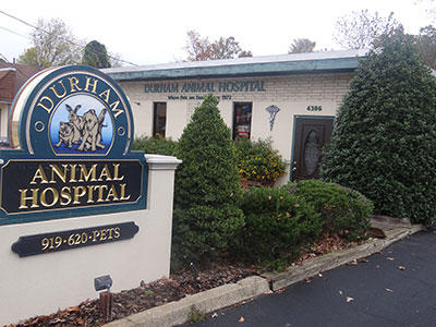 miller animal hospital hours