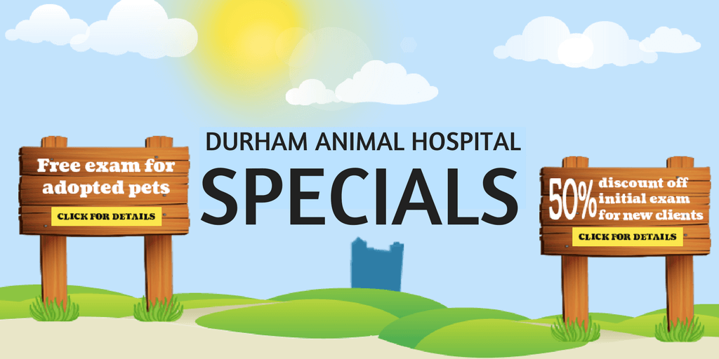 Durham Animal Hospital Specials