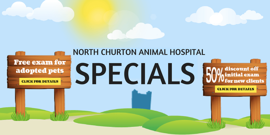 North Churton Animal Hospital Specials