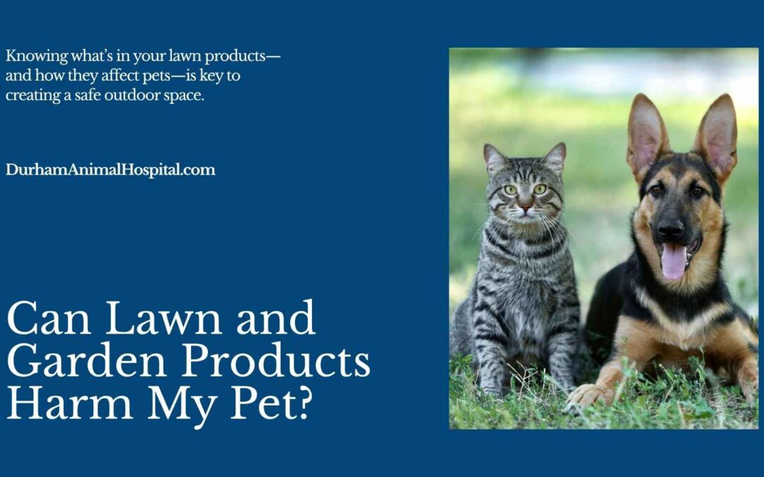 Can Lawn and Garden Products Harm My Pet?