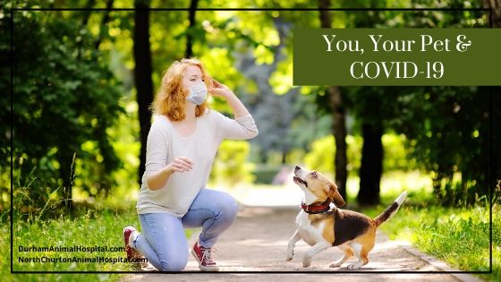You, Your Pet & COVID-19