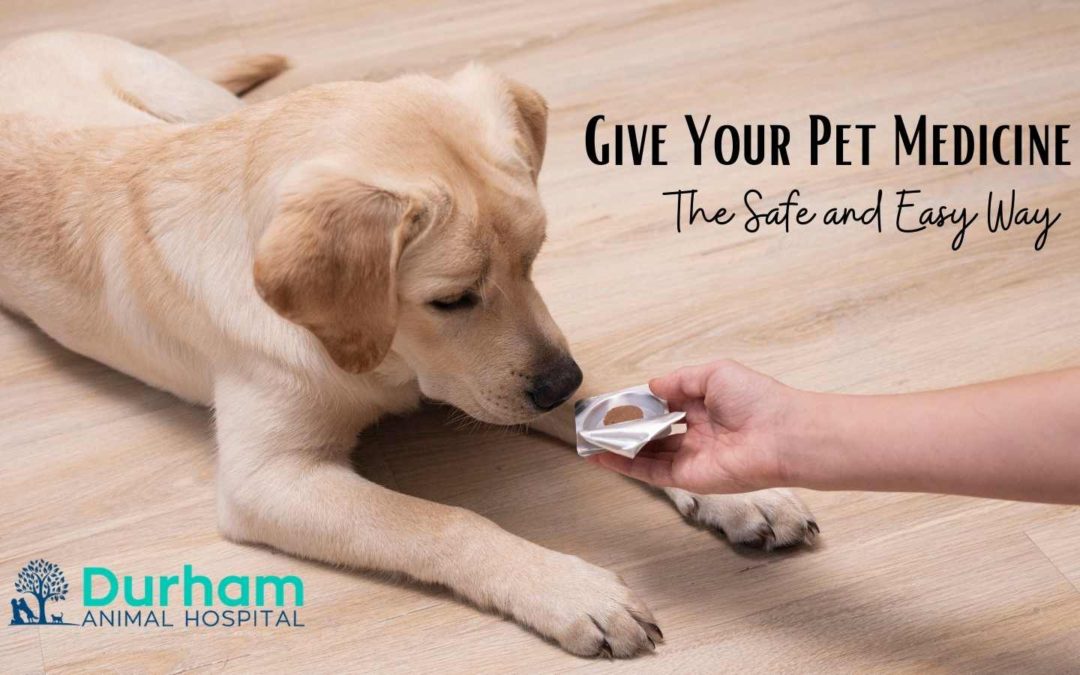 White lab puppy being offered medicine and a text overlay: Give Your Pet Medicine the safe and easy way