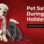 Pet Safety during the holidays