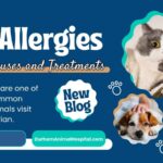 Pet Allergies in Durham NC