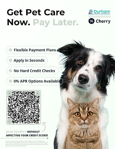 Pay for your vet visit with Cherry Financing. flexible payment plans, apply in seconds, no hard credit checks and 0% APR options. Scan QR to apply.